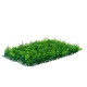 Декоративная панель, 60×40 см, «Сочная трава», Greengo