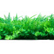 Декоративная панель, 60×40 см, «Самшит, Папоротник», Greengo