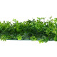 Декоративная панель, 60×40 см, «8-ми листник», Greengo