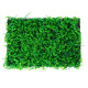 Декоративная панель, 60×40 см, «Самшит, Папоротник», Greengo