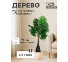 Дерево искусственное «Ливистона», h=75 см