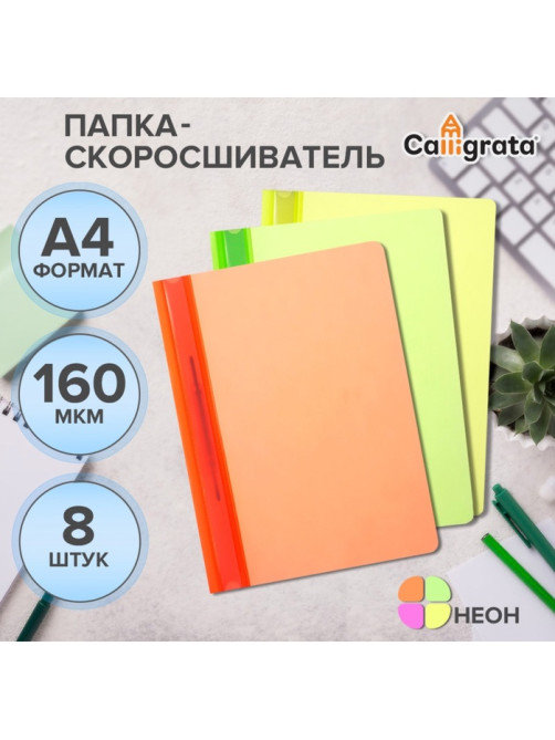 Набор папок-скоросшивателей А4, Calligrata Neon, 160 мкм, 8 штук, МИКС, прозрачный верх