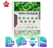 Файл - вкладыш Calligrata, А4, 40 мкм, глянцевый, вертикальный, 100 штук