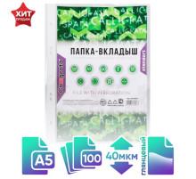 Файл - вкладыш Calligrata, А5, 40 мкм, глянцевый, вертикальный, 100 штук
