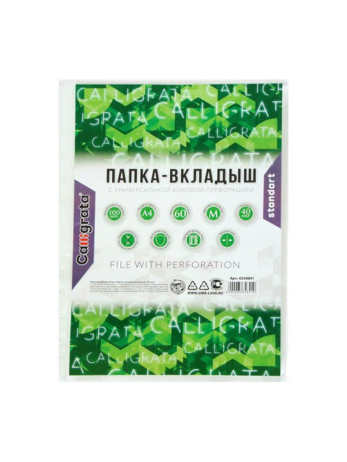 Файл-вкладыш А4, 40 мкм, Calligrata, матовый, вертикальный, 100 штук