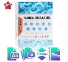 Файл - вкладыш Calligrata, А5, 30 мкм, глянцевый, вертикальный, 100 штук