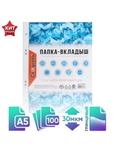 Файл - вкладыш Calligrata, А5, 30 мкм, глянцевый, вертикальный, 100 штук