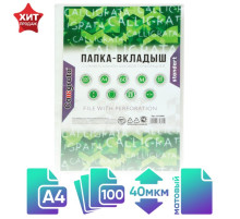 Файл-вкладыш А4, 40 мкм, Calligrata, матовый, вертикальный, 100 штук