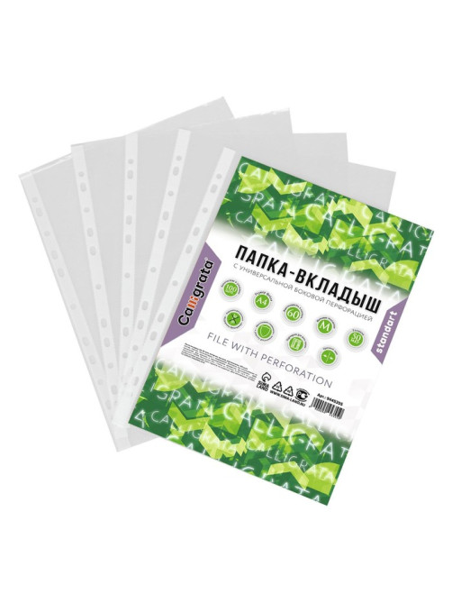 Файл - вкладыш Calligrata «Люкс», А4, 50 мкм, матовый, вертикальный, 100 штук