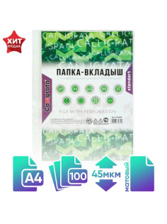 Файл-вкладыш А4, 45 мкм, Calligrata, матовый, вертикальный, 100 штук