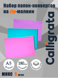 Набор папок-конвертов на ZIP-молнии A5, 180 мкм, Calligrata «Акварель», полупрозрачные, 5 штук, МИКС