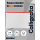 Папка-конверт на ZIP-молнии A4, 150 мкм, Calligrata, прозрачная, красная молния