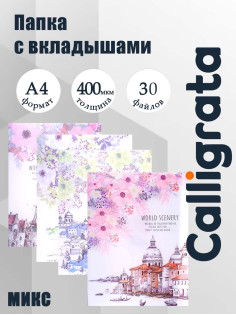 Папка А4, «Города» 30 прозрачных файлов, пластик, 400 мкм, МИКС