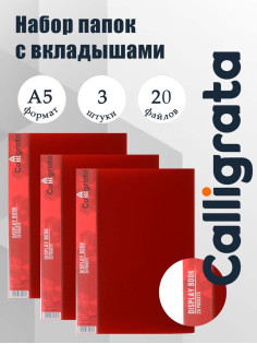 Набор папок А5, 20 вкладышей, Calligrata, карман на корешке, красные, 3 штуки