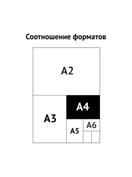 Набор папок для бумаги с завязками Calligrata, 220 г/м², картон немелованный, до 200 листов, 10 штук