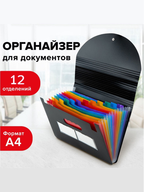 Папка для бумаги А4 на резинке пластиковая Calligrata, 12 отделений, черная