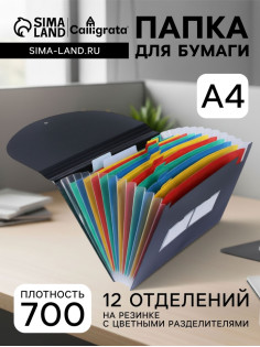 Папка 12 отделений, А4, с цветными разделителями, черная