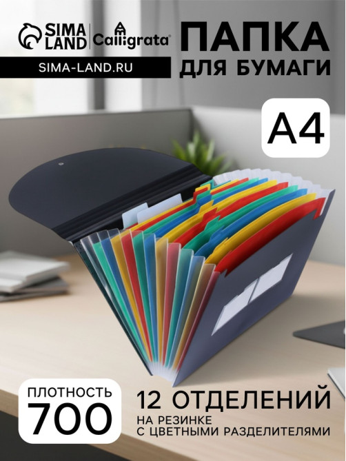 Папка 12 отделений, А4, с цветными разделителями, черная