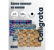 Папка-конверт на кнопке, А5, 180 мкм, МИКС