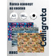 Папка-конверт на кнопке, А5, 180 мкм, МИКС