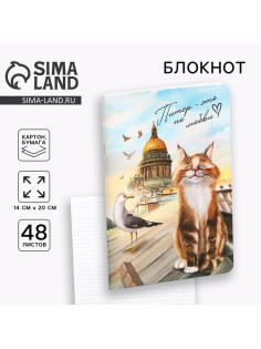 Блокнот «Питер» А5 в мягкой обложке, 48 л