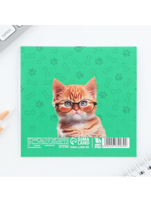 Блокнот 10×10, 16 л. в клетку «Кот»