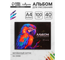 Альбом для рисования Calligrata, А4, 40 листов на скрепке, МИКС