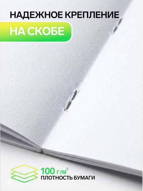 Альбом для рисования Calligrata «Авокадо» А4, 40 листов, на скрепке, плотность листов 100 г/м², обложка из мелованного картона