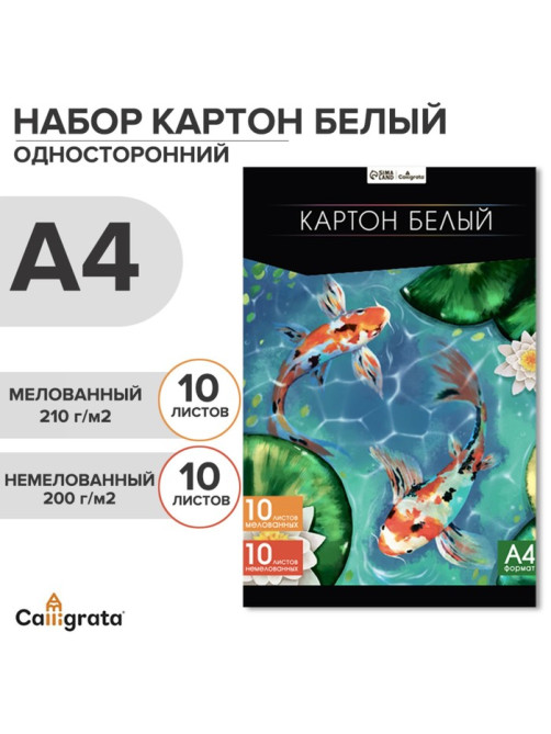 Картон белый А4, 20 листов: 10 листов мелованного плотность 200 г/м², 10 листов немелованного плотность 200 г/м², в папке
