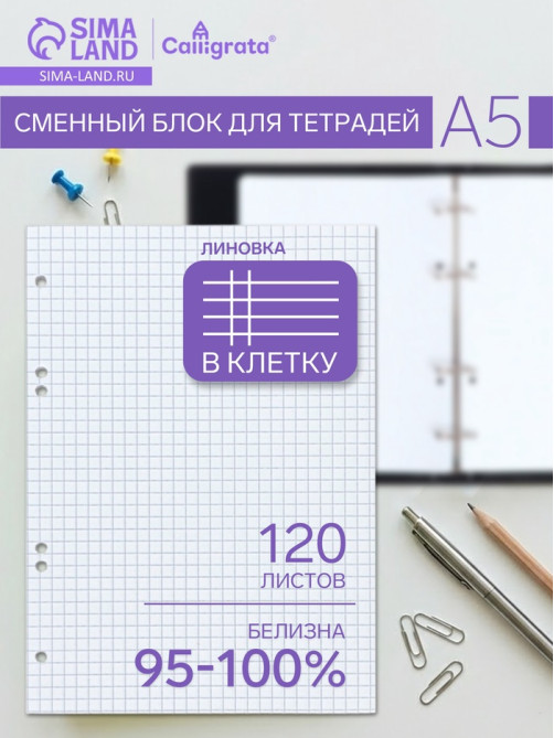 Сменный блок для тетрадей на кольцах А5, 120 листов, в клетку, Calligrata, блок офсет № 160 г/м², белизна 100%