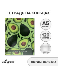 Тетрадь на кольцах A5, 120 листов в клетку, Calligrata «Авокадо»