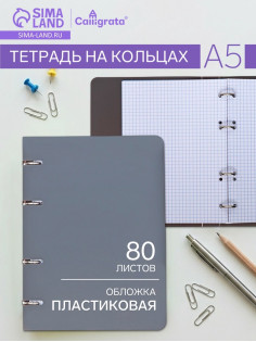 Тетрадь на кольцах Calligrata A5, 80 листов, в клетку, пластиковая обложка, блок офсет, серая