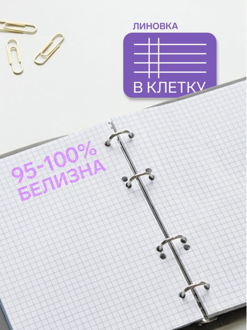 Тетрадь на кольцах Calligrata A5, 80 листов, в клетку, пластиковая обложка, блок офсет, синяя