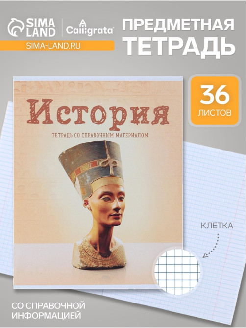 Предметная тетрадь по истории Calligrata «Предметы», 36 листов, в клетку, со справочным материалом, обложка из мелованного картона