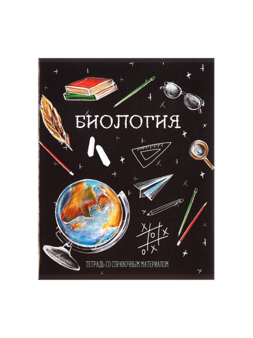 Набор предметных тетрадей Calligrata «Доска», 12 предметов, 48 листов, со справочным материалом, обложка из мелованного картона
