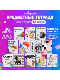 Набор предметных тетрадей 36 листов «Животные мемы», 12 предметов, серые листы