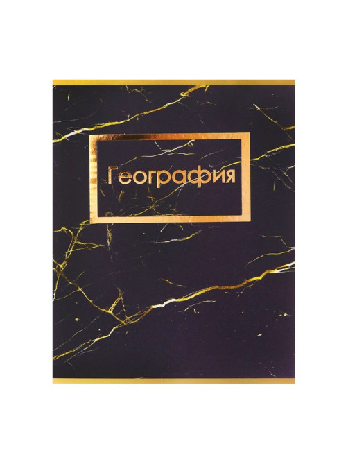 Набор предметных тетрадей Calligrata «Мрамор тёмный», 10 предметов, 48 листов, со справочным материалом, обложка из мелованного картона