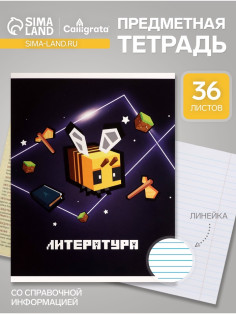 Предметная тетрадь по литературе Calligrata «Пиксели», 36 листов, в линейку, со справочным материалом, обложка из мелованного картона