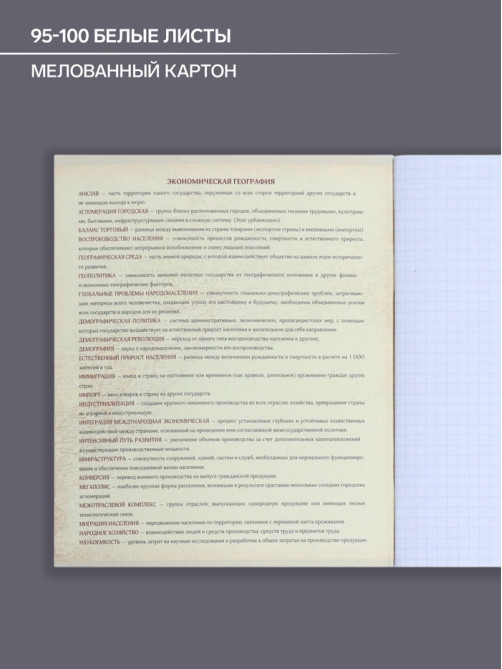 Предметная тетрадь по географии Calligrata «Мрамор светлый», 48 листов, в клетку, со справочным материалом, обложка из мелованного картона