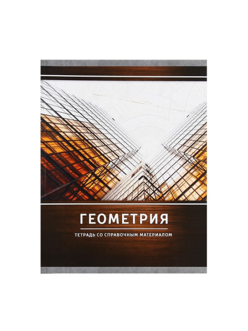 Предметная тетрадь по геометрии Calligrata «Металл», 48 листов, в клетку, со справочным материалом, обложка из мелованного картона
