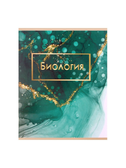 Набор предметных тетрадей Calligrata «Мрамор светлый», 10 предметов, 48 листов, со справочным материалом, обложка из мелованного картона