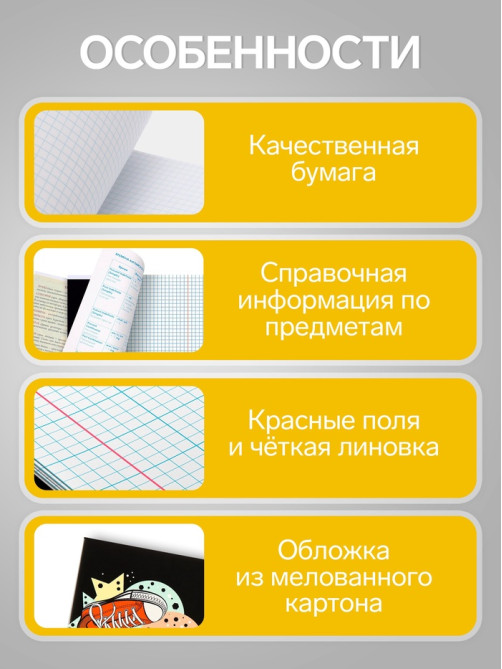 Набор предметных тетрадей Calligrata TOP «Кеды», 12 предметов, 48 листов, со справочным материалом, картонная обложка