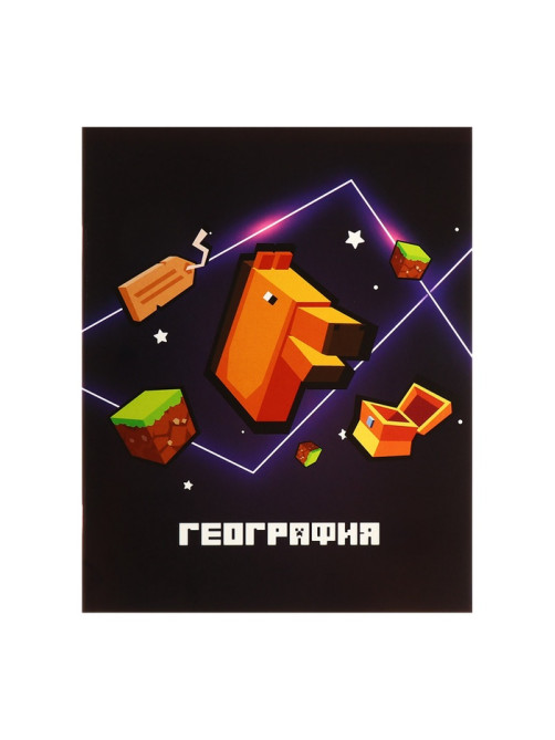 Набор предметных тетрадей Calligrata «Пиксели», 10 предметов, 36 листов, со справочным материалом, обложка из мелованного картона, блок офсет