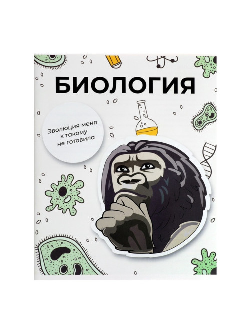 Набор предметных тетрадей 36 листов «Животные мемы», 12 предметов, серые листы