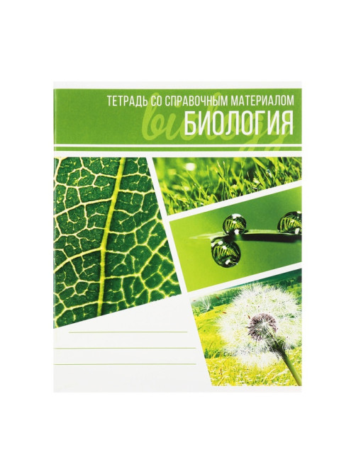 Набор предметных тетрадей Calligrata «Коллаж», 10 предметов, 48 листов, со справочным материалом, обложка из мелованного картона