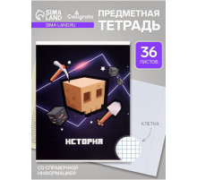 Предметная тетрадь по истории Calligrata «Пиксели», 36 листов, в клетку, со справочным материалом, обложка из мелованного картона