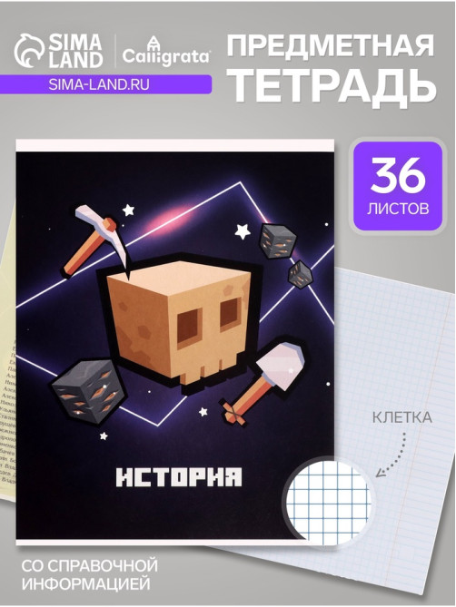 Предметная тетрадь по истории Calligrata «Пиксели», 36 листов, в клетку, со справочным материалом, обложка из мелованного картона