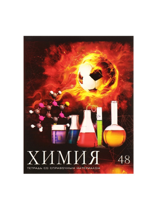 Набор предметных тетрадей Calligrata «Футбол», 10 предметов, 48 листов, со справочным материалом, обложка из мелованного картона, блок офсет