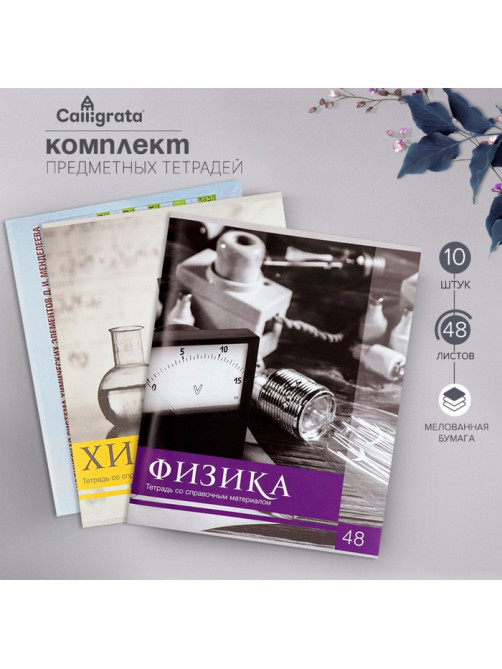 Набор предметных тетрадей 48 листов, Calligrata «Чёрное-белое», 10 предметов, серые листы