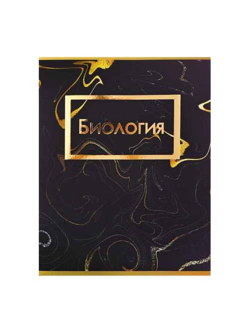 Набор предметных тетрадей Calligrata «Мрамор тёмный», 10 предметов, 48 листов, со справочным материалом, обложка из мелованного картона